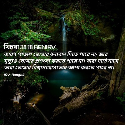 Picture 02 - যিচয়া 38:18 BENIRV - কারণ পাতাল তোমার - Bible Verse Picture