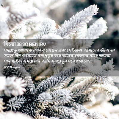 Picture 02 - যিচয়া 38:20 BENIRV - সদাপ্রভু আমাকে - Bible Verse Picture