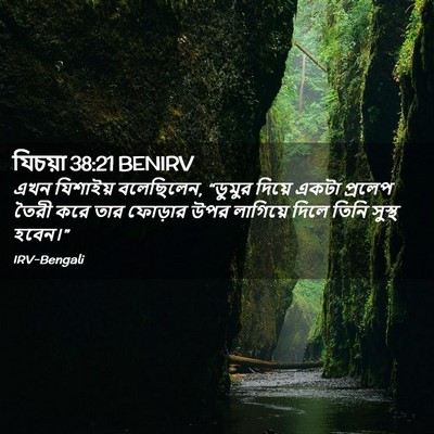 Picture 02 - যিচয়া 38:21 BENIRV - এখন যিশাইয় - Bible Verse Picture