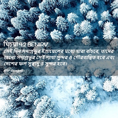 Picture 02 - যিচয়া 4:2 BENIRV - সেই দিন সদাপ্রভুর - Bible Verse Picture