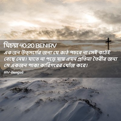 Picture 02 - যিচয়া 40:20 BENIRV - একজন উত্সর্গের - Bible Verse Picture