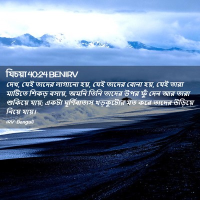 Picture 02 - যিচয়া 40:24 BENIRV - দেখ, যেই তাদের - Bible Verse Picture