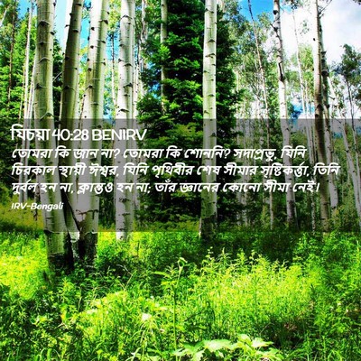 Picture 02 - যিচয়া 40:28 BENIRV - তোমরা কি জান না? - Bible Verse Picture