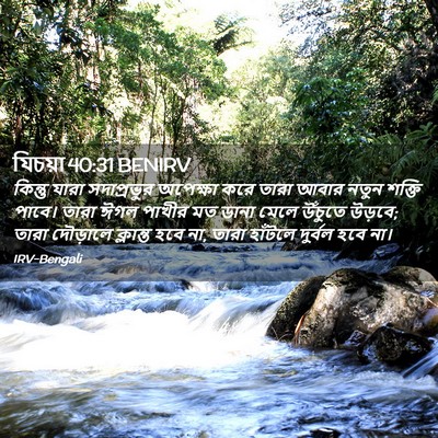 Picture 02 - যিচয়া 40:31 BENIRV - কিন্তু যারা - Bible Verse Picture