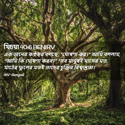 Picture 02 - যিচয়া 40:6 BENIRV - এক জনের কণ্ঠস্বর - Bible Verse Picture
