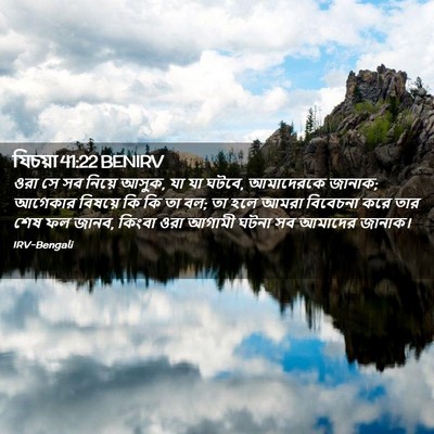 Picture 02 - যিচয়া 41:22 BENIRV - ওরা সে সব নিয়ে - Bible Verse Picture