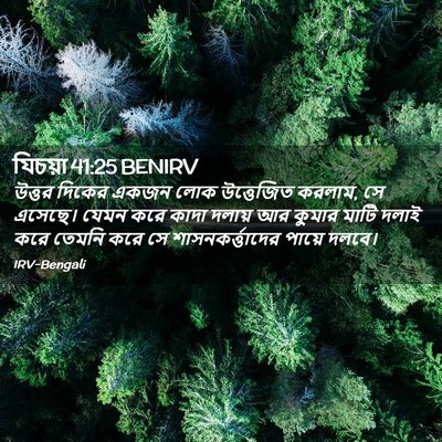 Picture 02 - যিচয়া 41:25 BENIRV - উত্তর দিকের একজন - Bible Verse Picture