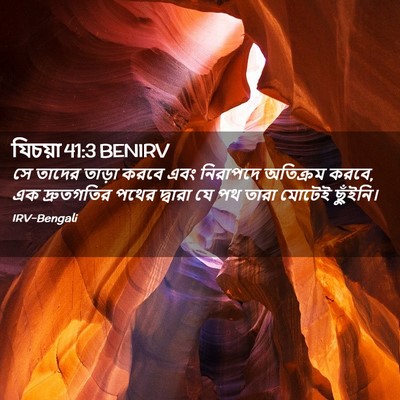 Picture 02 - যিচয়া 41:3 BENIRV - সে তাদের তাড়া - Bible Verse Picture