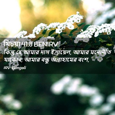 Picture 02 - যিচয়া 41:8 BENIRV - কিন্তু হে আমার দাস - Bible Verse Picture