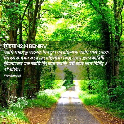 Picture 02 - যিচয়া 42:14 BENIRV - আমি সদাপ্রভু অনেক - Bible Verse Picture