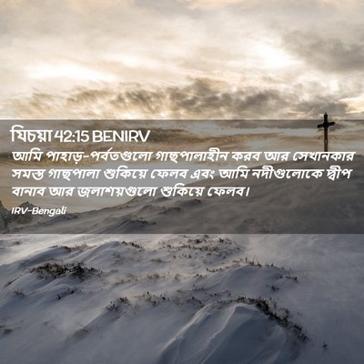 Picture 02 - যিচয়া 42:15 BENIRV - আমি - Bible Verse Picture