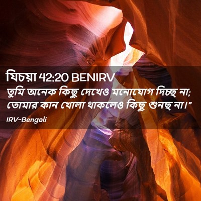 Picture 02 - যিচয়া 42:20 BENIRV - তুমি অনেক কিছু - Bible Verse Picture