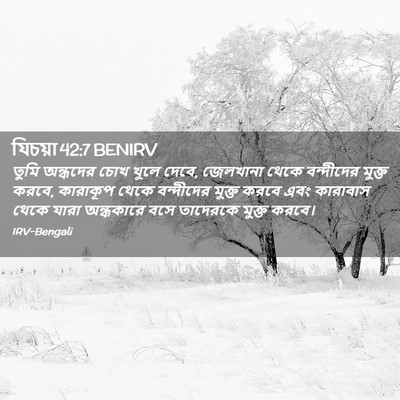 Picture 02 - যিচয়া 42:7 BENIRV - তুমি অন্ধদের চোখ - Bible Verse Picture