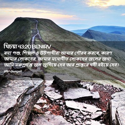 Picture 02 - যিচয়া 43:20 BENIRV - বন্য পশু, শিয়াল ও - Bible Verse Picture