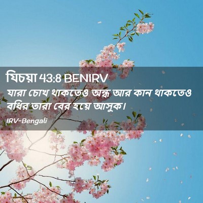 Picture 02 - যিচয়া 43:8 BENIRV - যারা চোখ থাকতেও - Bible Verse Picture