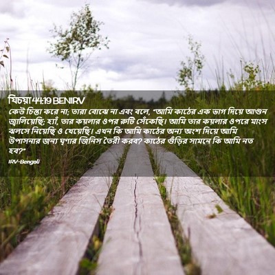 Picture 02 - যিচয়া 44:19 BENIRV - কেউ চিন্তা করে না; - Bible Verse Picture