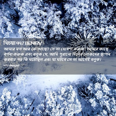 Picture 02 - যিচয়া 44:7 BENIRV - আমার মত আর কে আছে? - Bible Verse Picture