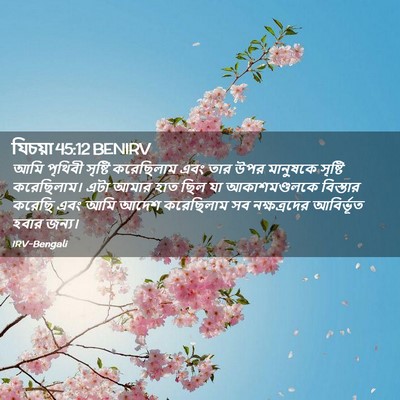 Picture 02 - যিচয়া 45:12 BENIRV - আমি পৃথিবী সৃষ্টি - Bible Verse Picture