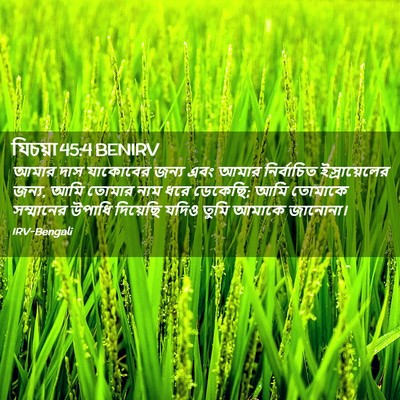 Picture 02 - যিচয়া 45:4 BENIRV - আমার দাস যাকোবের - Bible Verse Picture