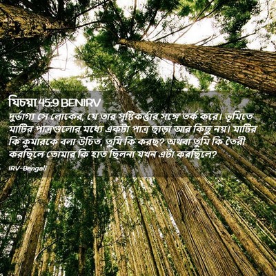 Picture 02 - যিচয়া 45:9 BENIRV - দুর্ভাগ্য সে - Bible Verse Picture