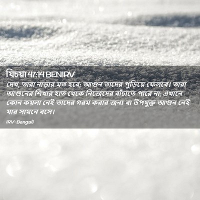 Picture 02 - যিচয়া 47:14 BENIRV - দেখ, তারা নাড়ার মত - Bible Verse Picture