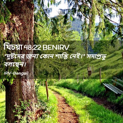 Picture 02 - যিচয়া 48:22 BENIRV - “দুষ্টদের জন্য - Bible Verse Picture