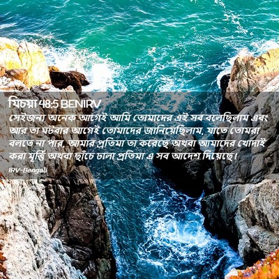 Picture 02 - যিচয়া 48:5 BENIRV - সেইজন্য অনেক আগেই - Bible Verse Picture