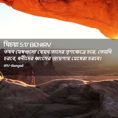 Picture 02 - যিচয়া 5:17 BENIRV - তখন মেষগুলো যেমন - Bible Verse Picture