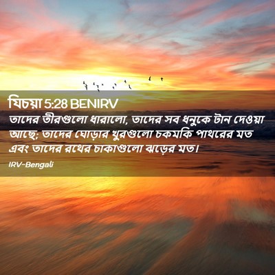 Picture 02 - যিচয়া 5:28 BENIRV - তাদের তীরগুলো - Bible Verse Picture