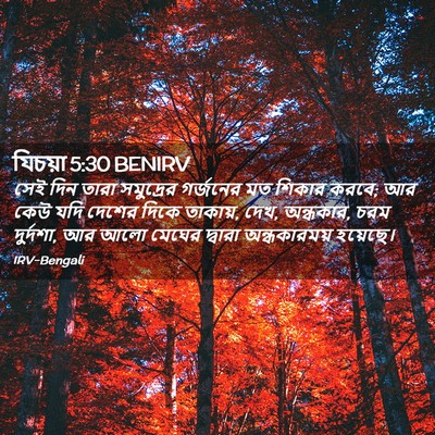 Picture 02 - যিচয়া 5:30 BENIRV - সেই দিন তারা - Bible Verse Picture