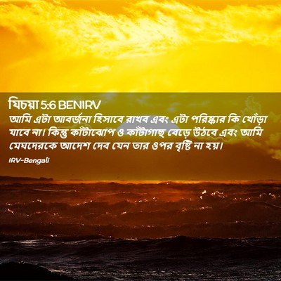Picture 02 - যিচয়া 5:6 BENIRV - আমি এটা আবর্জনা - Bible Verse Picture