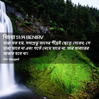Picture 02 - যিচয়া 51:14 BENIRV - যারা নত হয়, - Bible Verse Picture