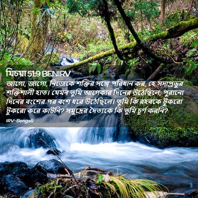 Picture 02 - যিচয়া 51:9 BENIRV - জাগো, জাগো, নিজেকে - Bible Verse Picture