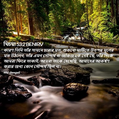 Picture 02 - যিচয়া 53:2 BENIRV - কারণ তিনি তাঁর - Bible Verse Picture