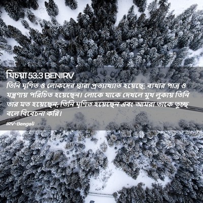 Picture 02 - যিচয়া 53:3 BENIRV - তিনি ঘৃণিত ও - Bible Verse Picture