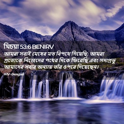 Picture 02 - যিচয়া 53:6 BENIRV - আমরা সবাই মেষের মত - Bible Verse Picture