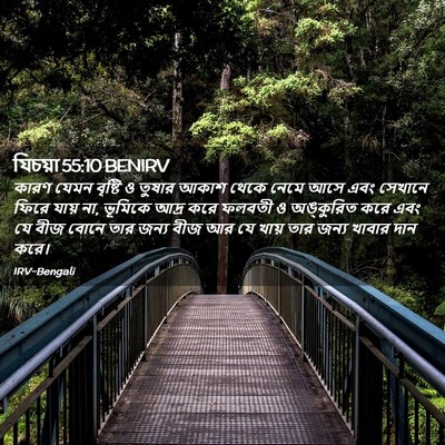 Picture 02 - যিচয়া 55:10 BENIRV - কারণ যেমন বৃষ্টি ও - Bible Verse Picture