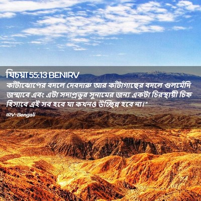 Picture 02 - যিচয়া 55:13 BENIRV - কাঁটাঝোপের বদলে - Bible Verse Picture