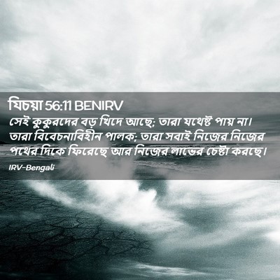 Picture 02 - যিচয়া 56:11 BENIRV - সেই কুকুরদের বড় - Bible Verse Picture