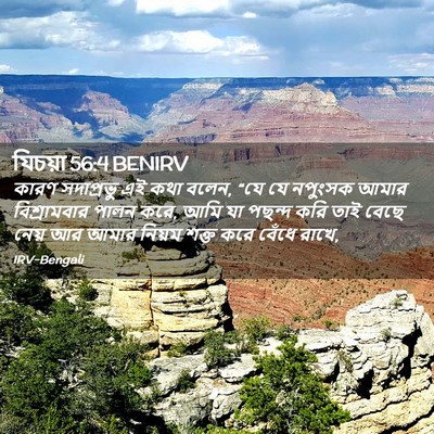 Picture 02 - যিচয়া 56:4 BENIRV - কারণ সদাপ্রভু এই - Bible Verse Picture
