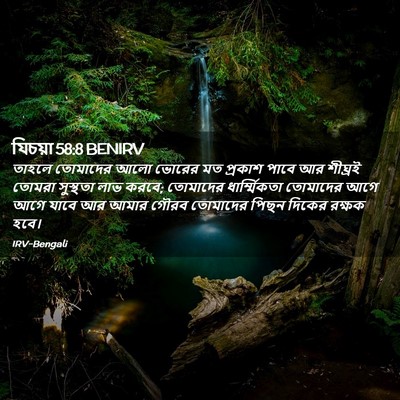 Picture 02 - যিচয়া 58:8 BENIRV - তাহলে তোমাদের আলো - Bible Verse Picture
