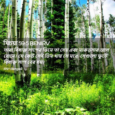 Picture 02 - যিচয়া 59:5 BENIRV - তারা বিষাক্ত - Bible Verse Picture