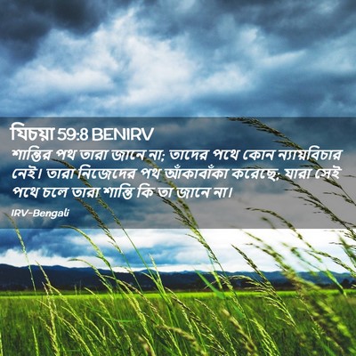 Picture 02 - যিচয়া 59:8 BENIRV - শান্তির পথ তারা - Bible Verse Picture