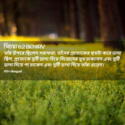 Picture 02 - যিচয়া 6:2 BENIRV - তাঁর উপরে ছিলেন - Bible Verse Picture