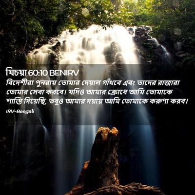 Picture 02 - যিচয়া 60:10 BENIRV - বিদেশীরা পুনরায় - Bible Verse Picture