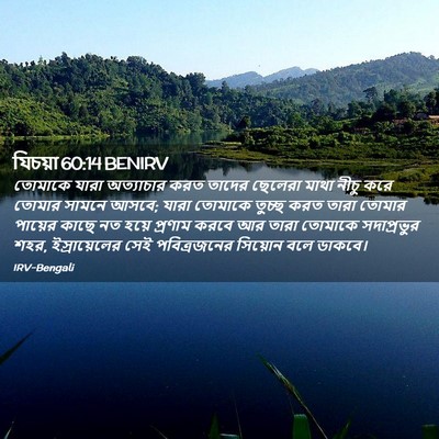 Picture 02 - যিচয়া 60:14 BENIRV - তোমাকে যারা - Bible Verse Picture