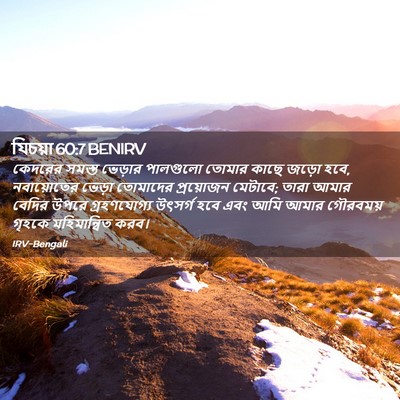Picture 02 - যিচয়া 60:7 BENIRV - কেদরের সমস্ত - Bible Verse Picture