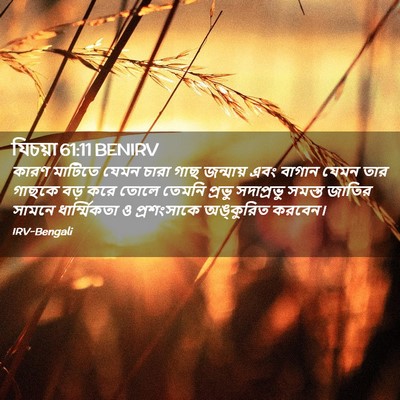Picture 02 - যিচয়া 61:11 BENIRV - কারণ মাটিতে যেমন - Bible Verse Picture