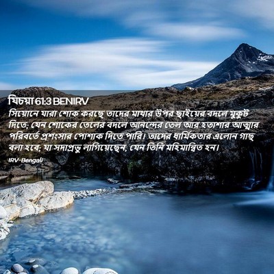 Picture 02 - যিচয়া 61:3 BENIRV - সিয়োনে যারা শোক - Bible Verse Picture