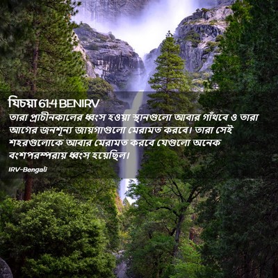 Picture 02 - যিচয়া 61:4 BENIRV - তারা প্রাচীনকালের - Bible Verse Picture